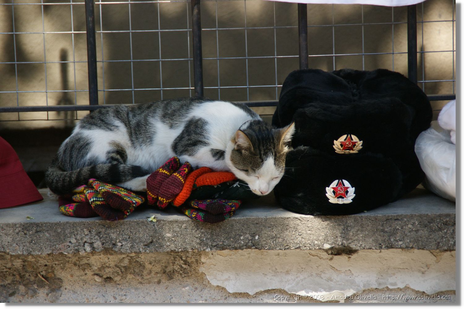 Bulgaria_0913.jpg