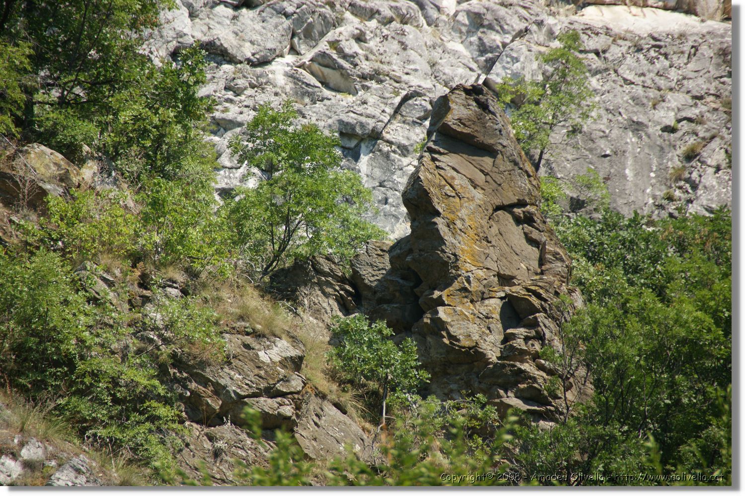 Bulgaria_0966.jpg