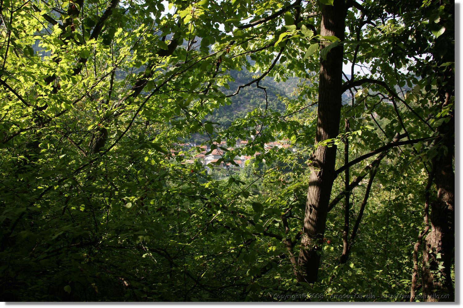 Bulgaria_1004.jpg