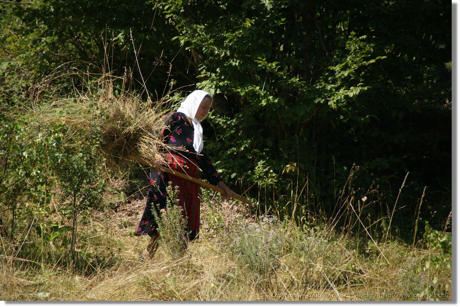 Bulgaria_1041.jpg