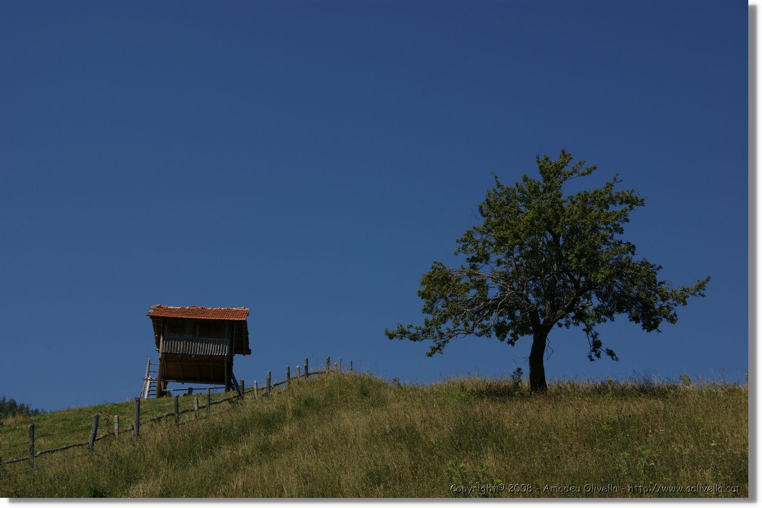 Bulgaria_1060.jpg