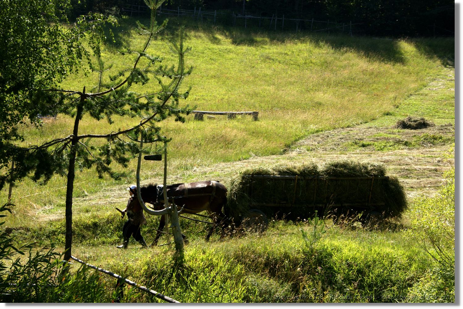 Bulgaria_1075.jpg