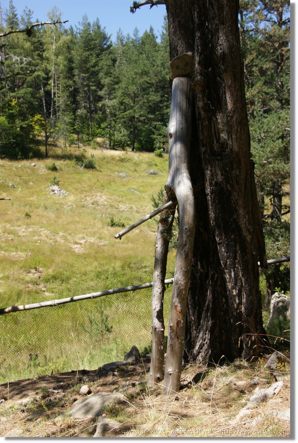 Bulgaria_1091.jpg