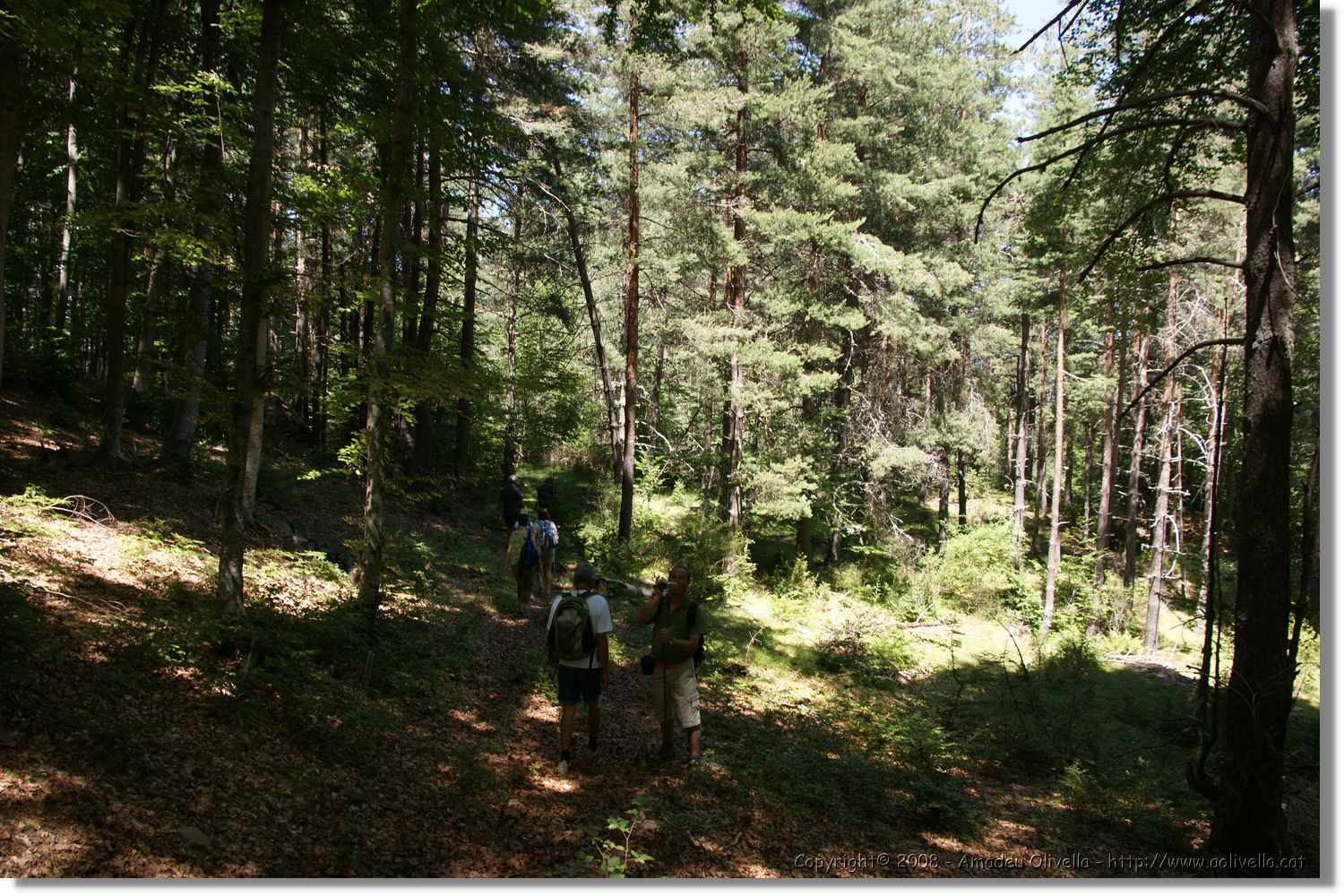 Bulgaria_1103.jpg