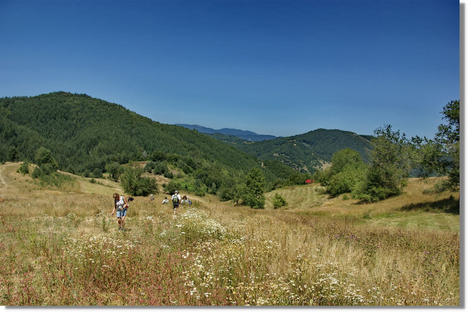 Bulgaria_1107.jpg