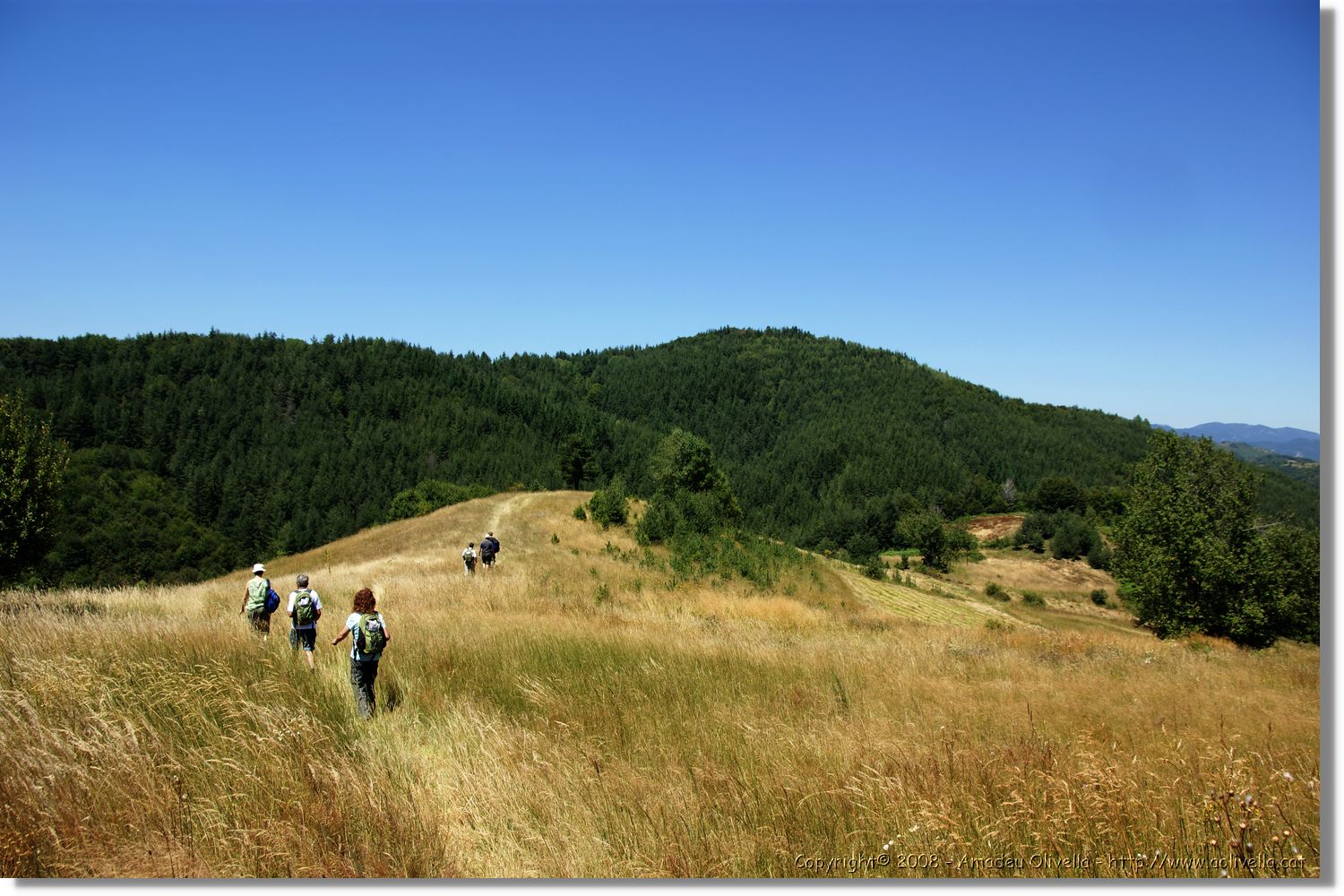 Bulgaria_1108.jpg