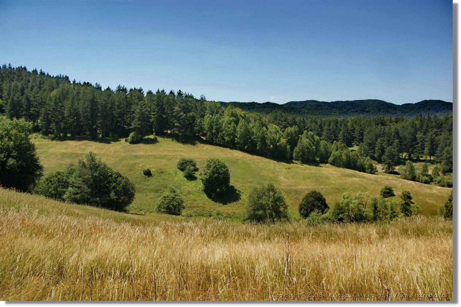 Bulgaria_1110.jpg