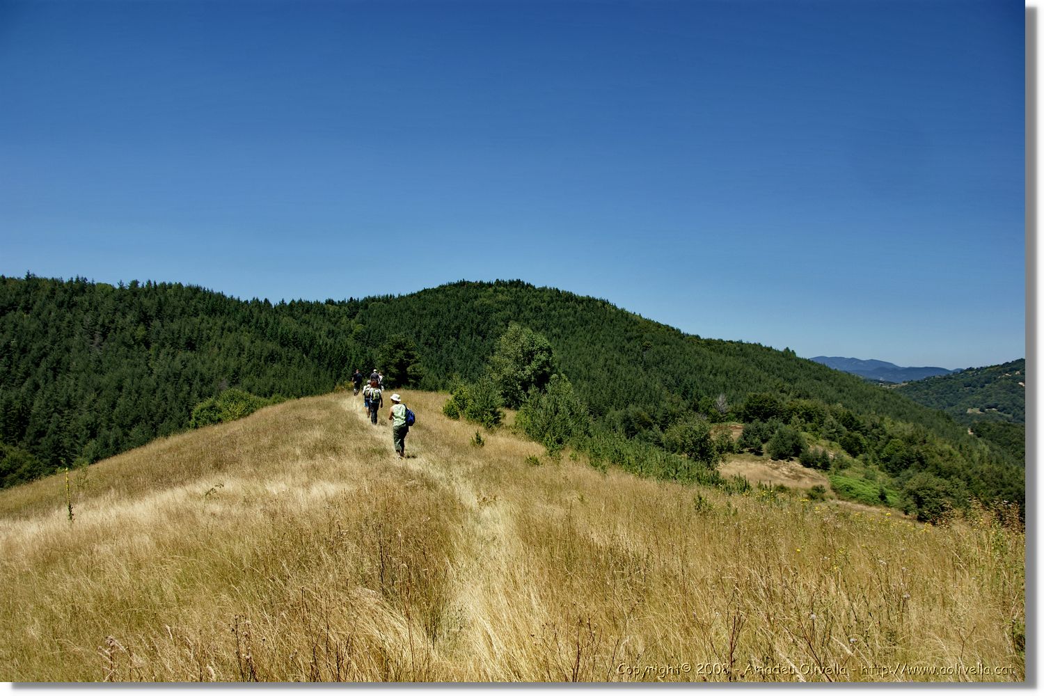 Bulgaria_1112.jpg