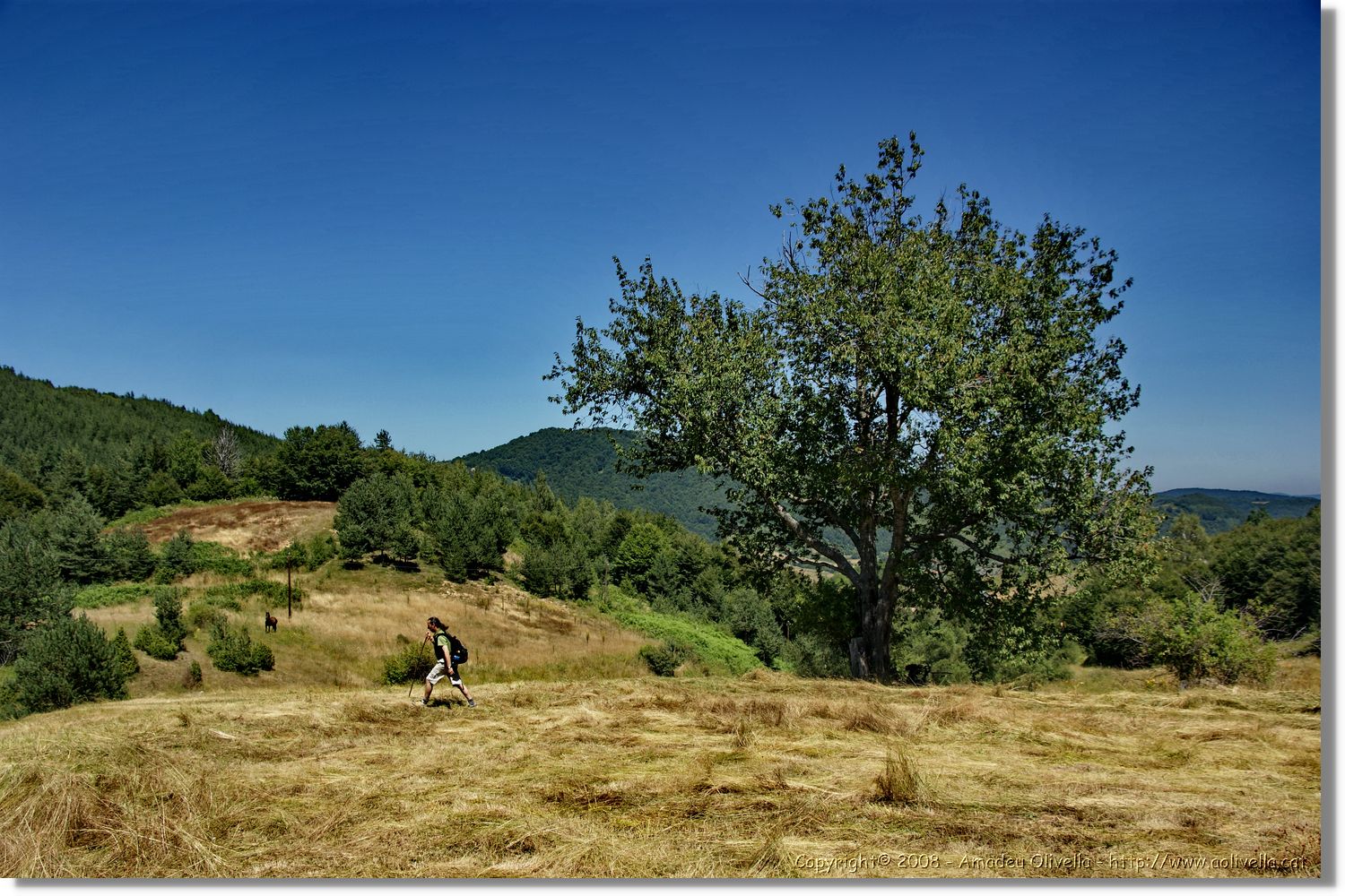 Bulgaria_1117.jpg