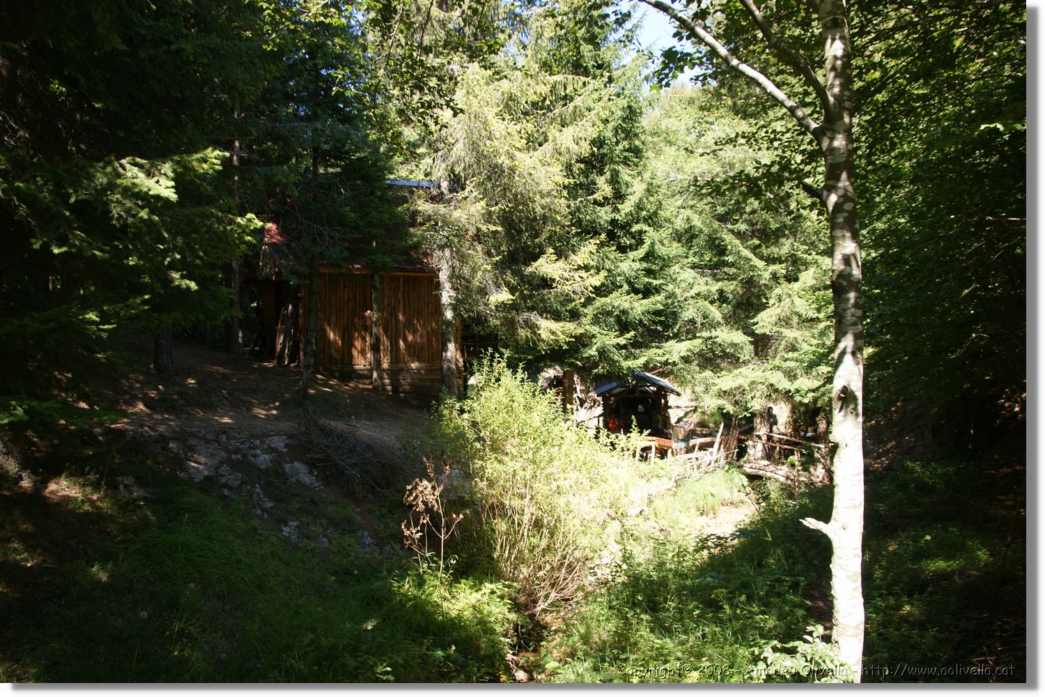 Bulgaria_1137.jpg