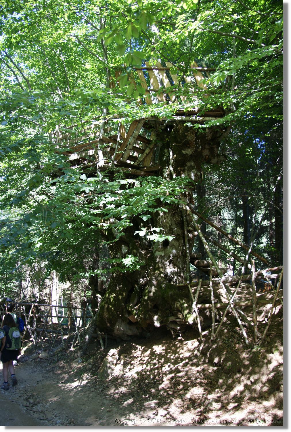 Bulgaria_1138.jpg