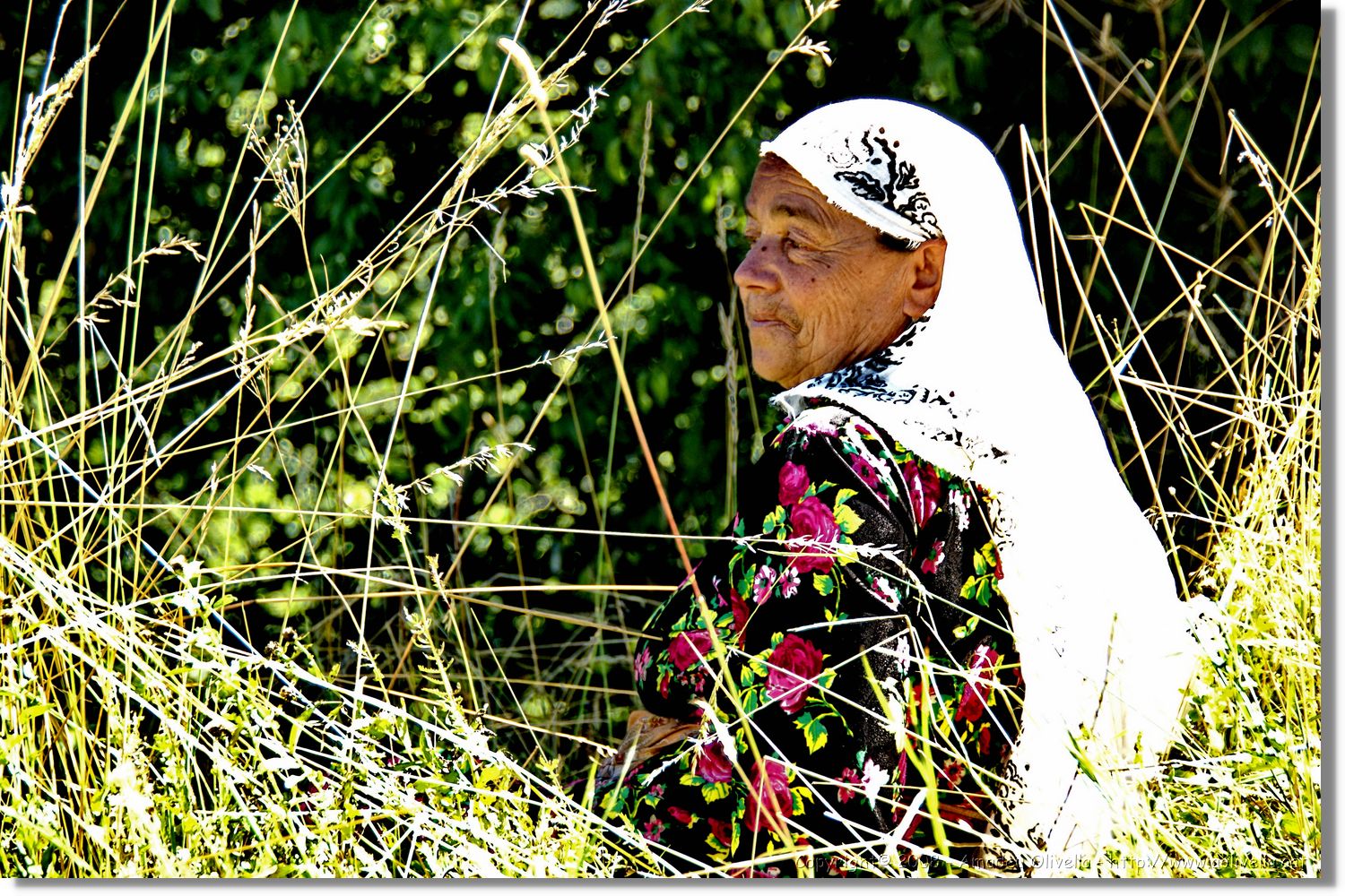 Bulgaria_1144.jpg