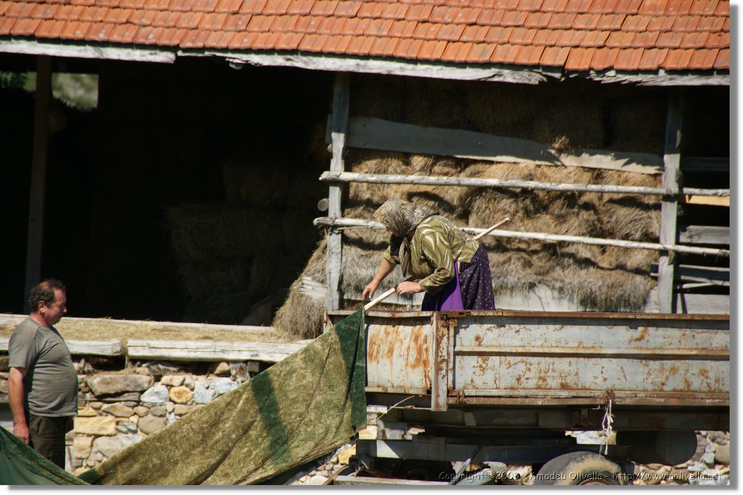 Bulgaria_1150.jpg
