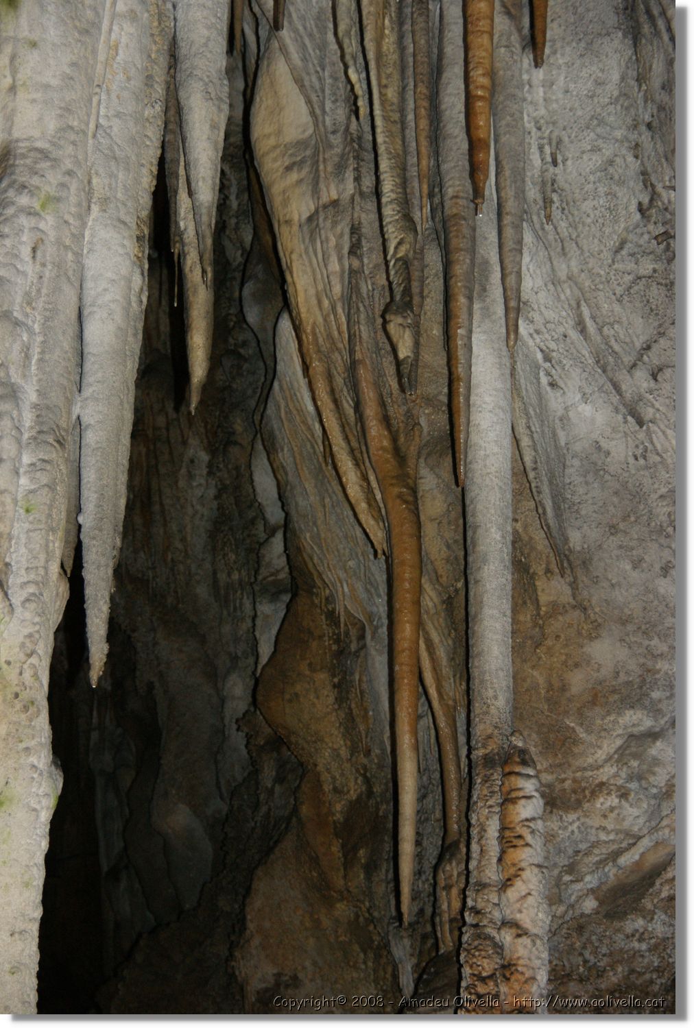 Bulgaria_1176.jpg