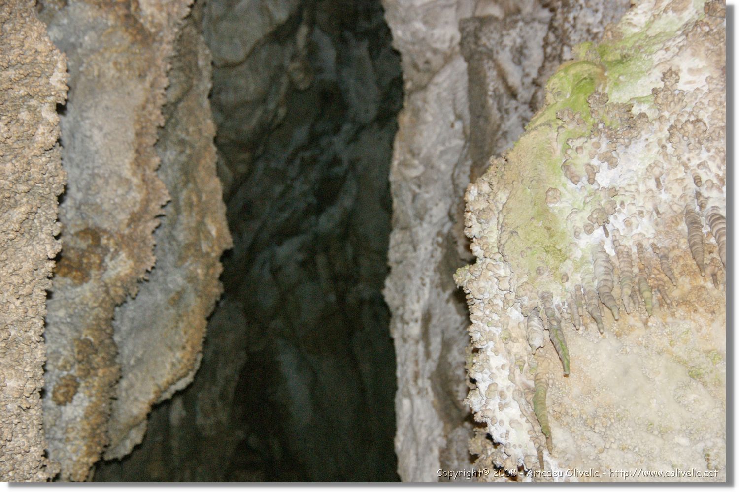 Bulgaria_1185.jpg