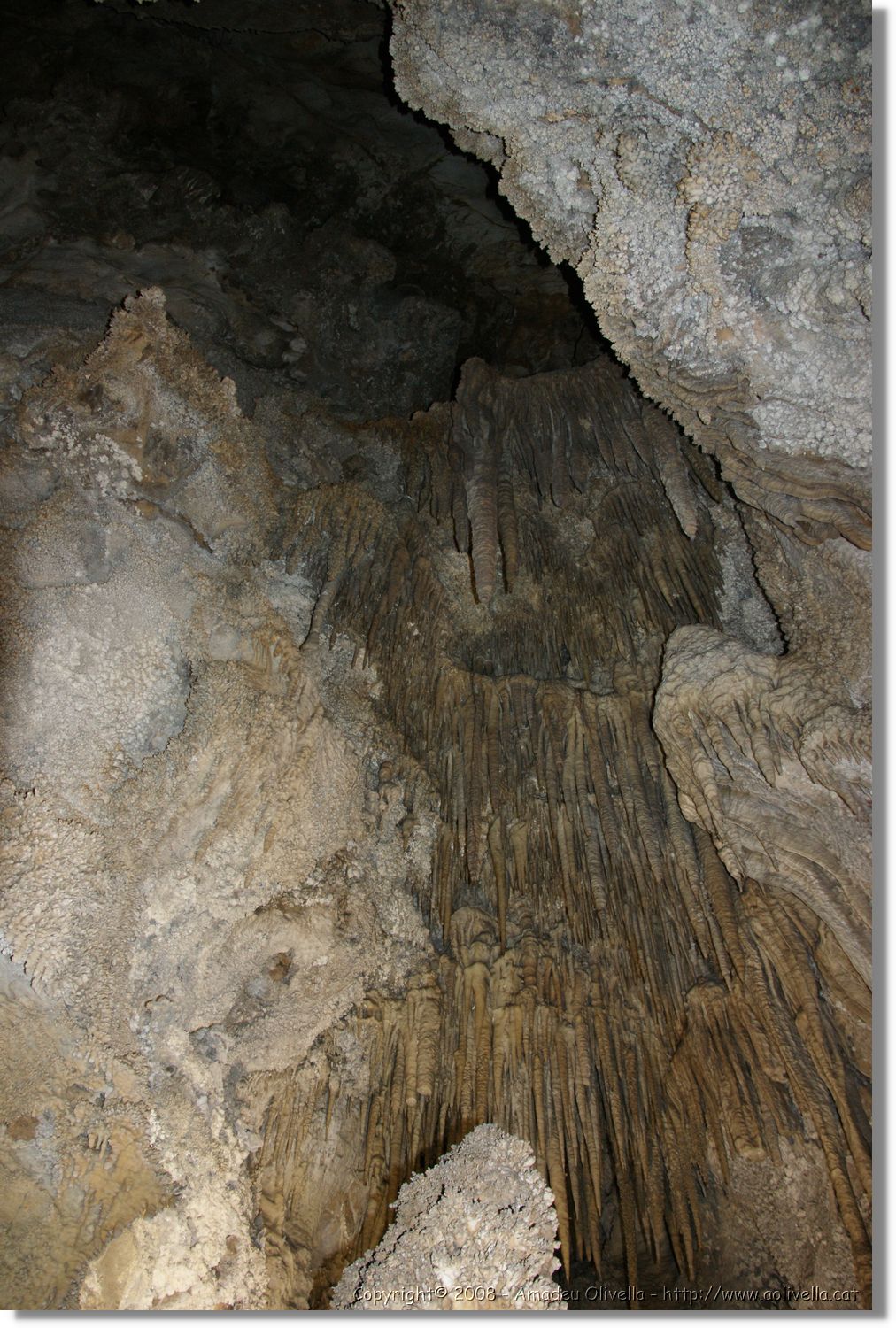 Bulgaria_1194.jpg