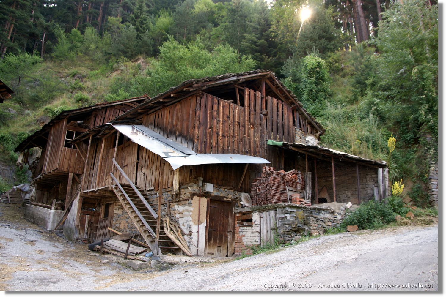Bulgaria_1265.jpg