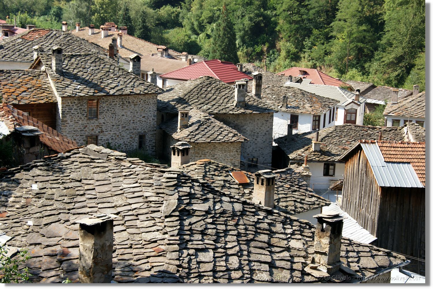 Bulgaria_1273.jpg