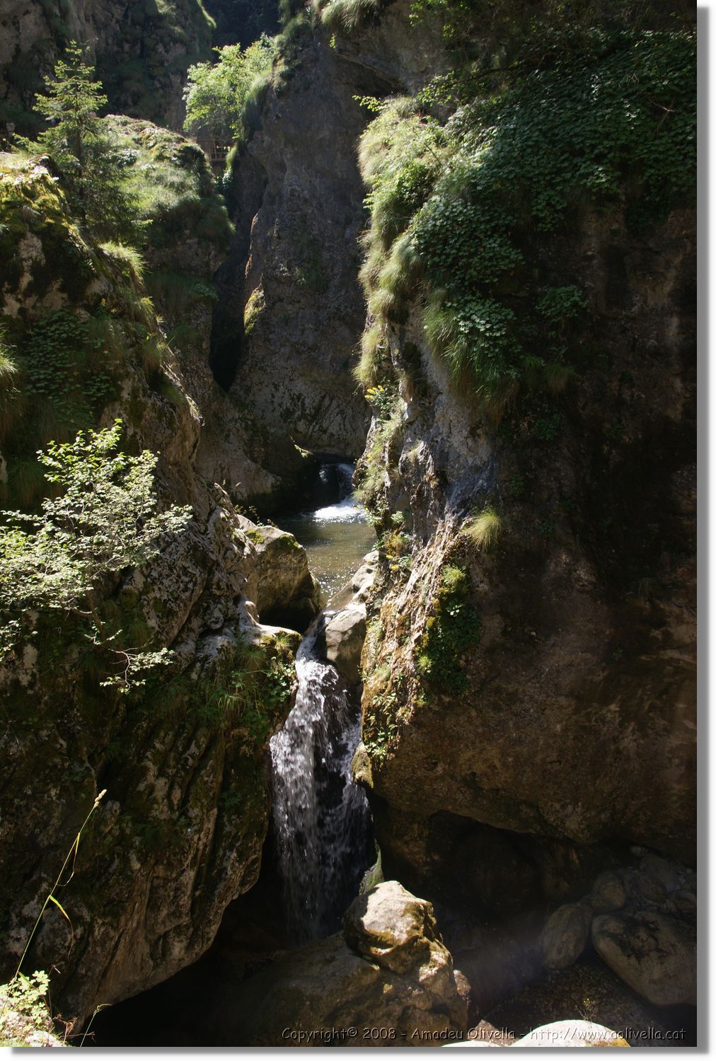 Bulgaria_1288.jpg