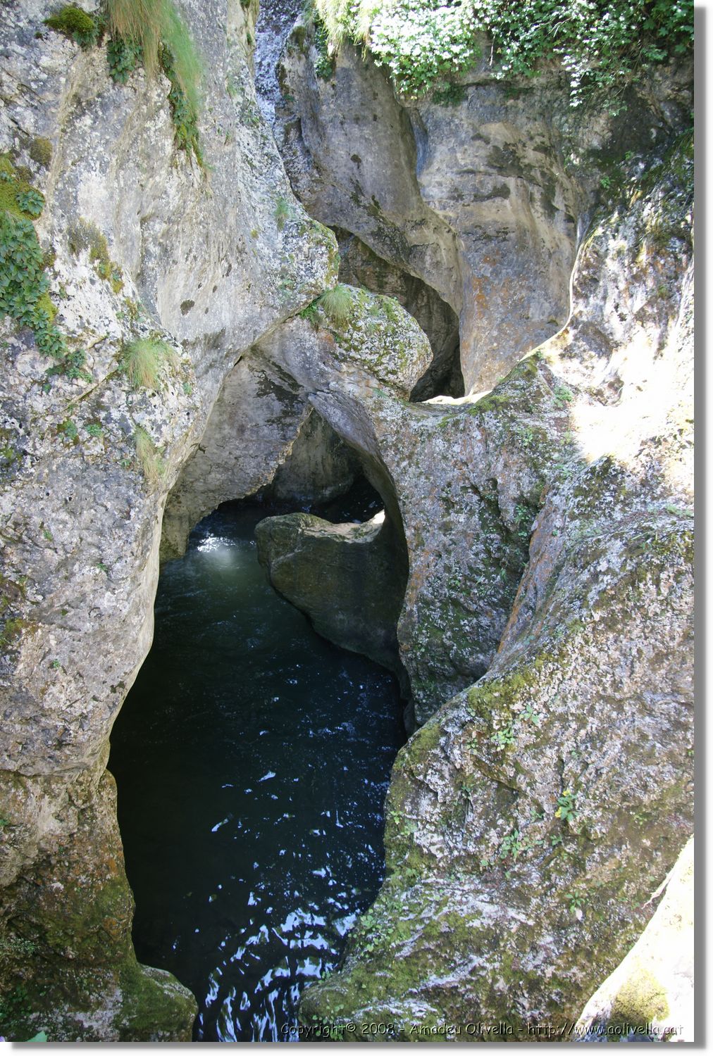 Bulgaria_1290.jpg