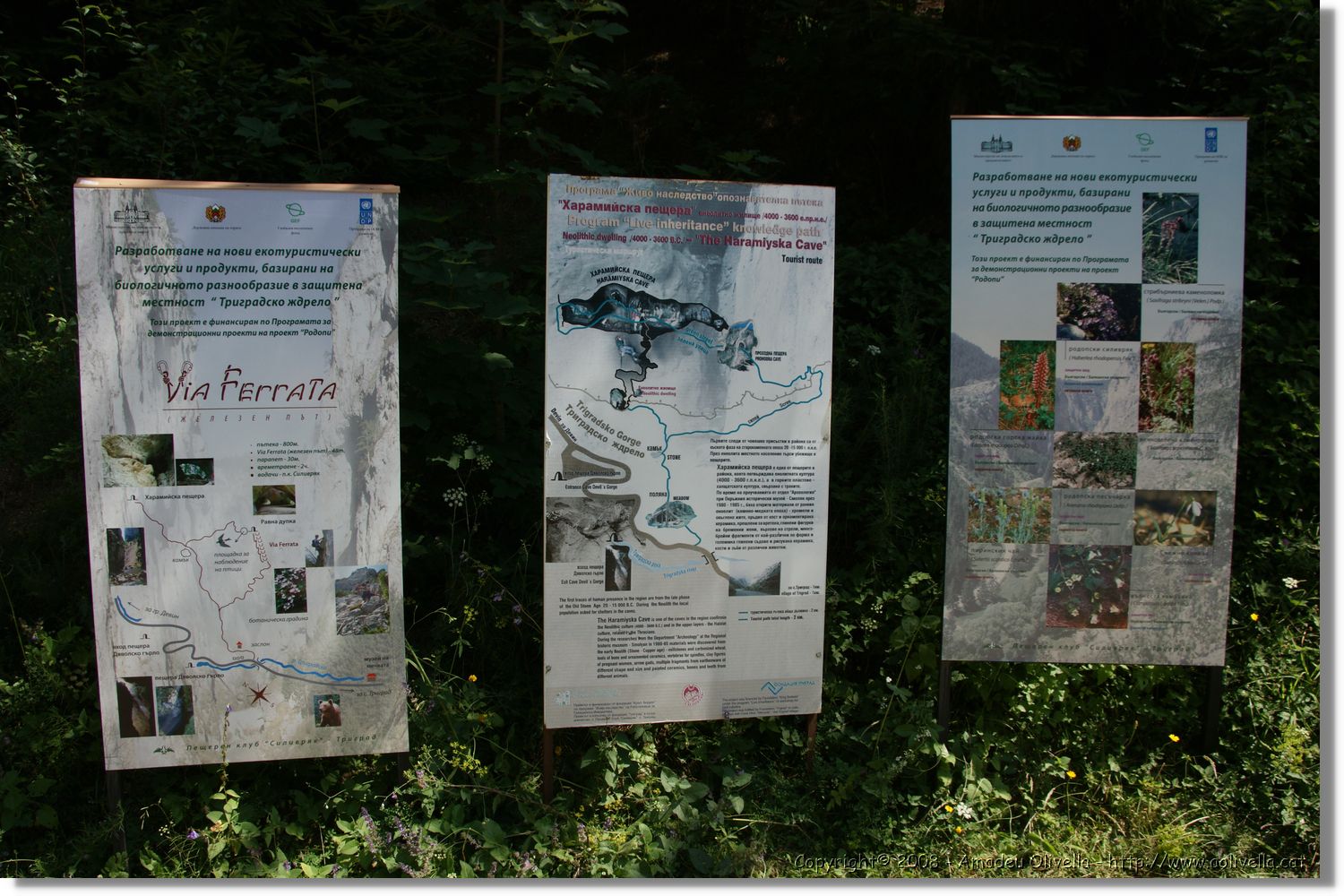Bulgaria_1296.jpg