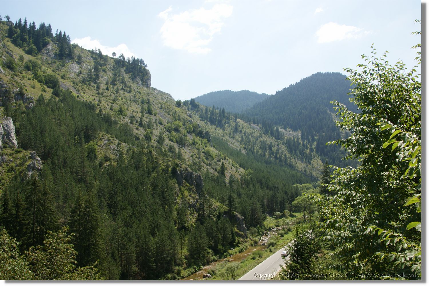 Bulgaria_1303.jpg