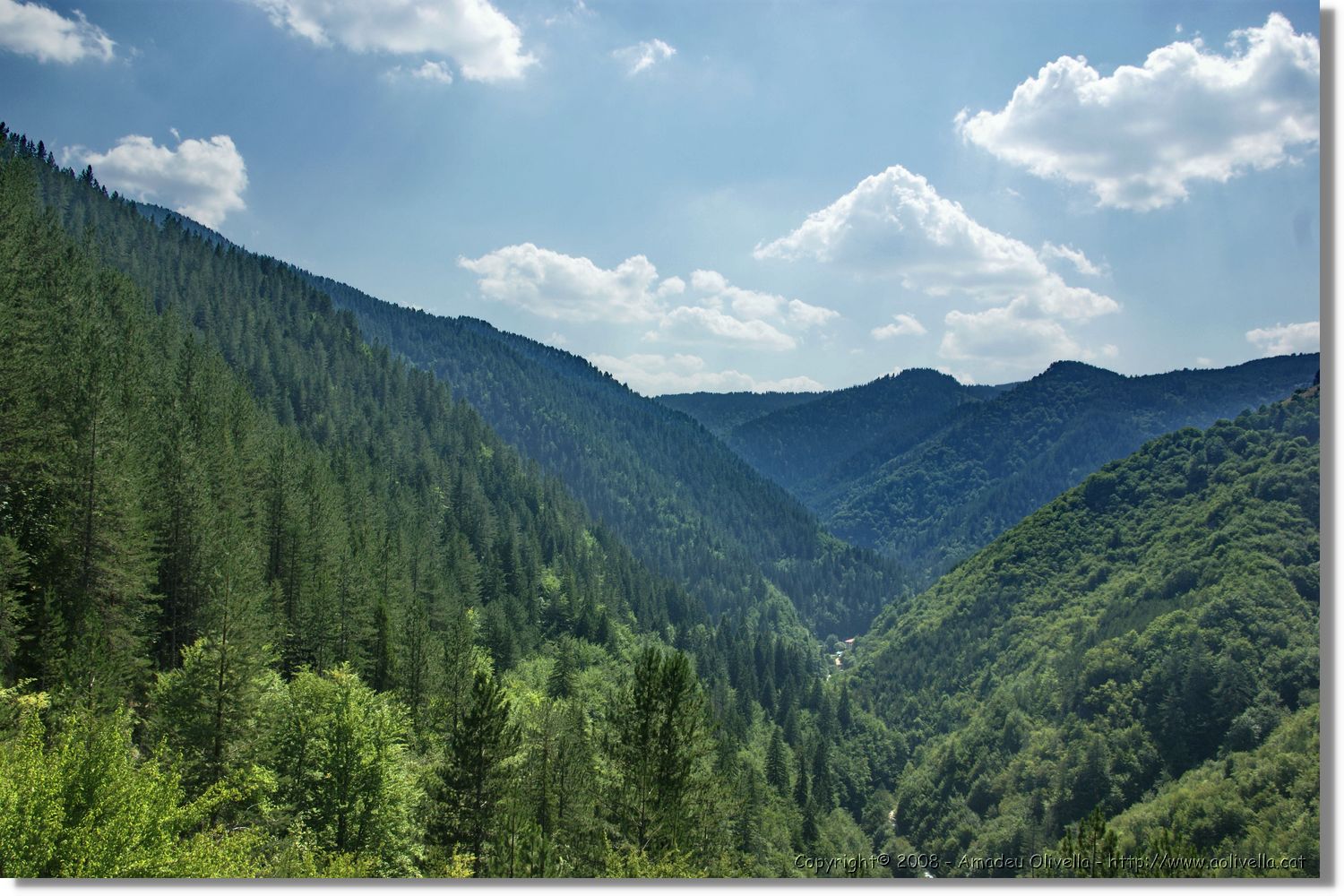 Bulgaria_1335.jpg