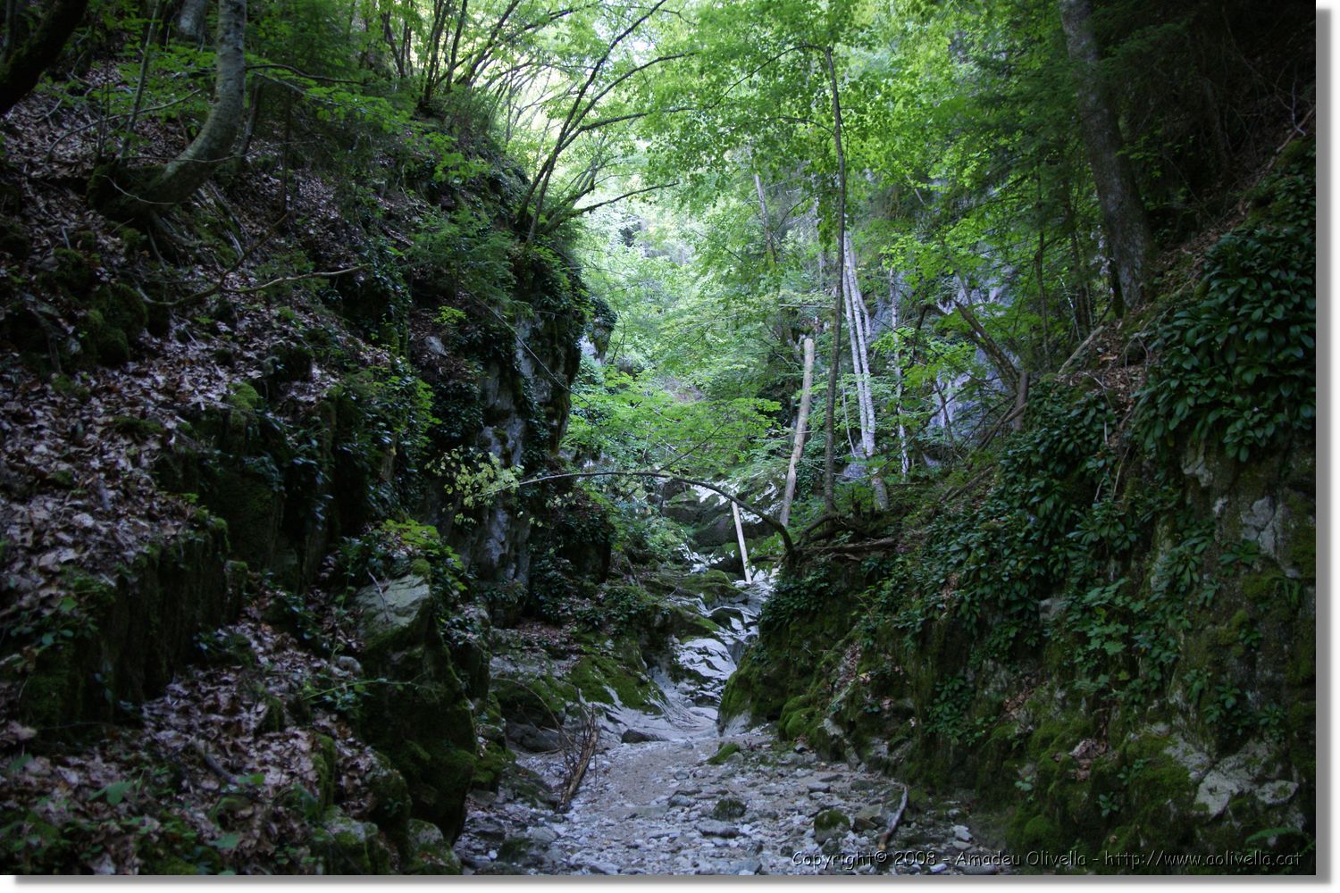 Bulgaria_1339.jpg