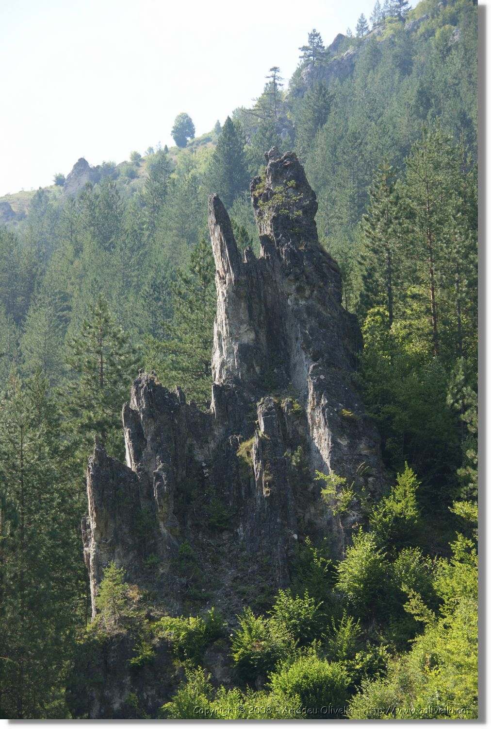 Bulgaria_1340.jpg