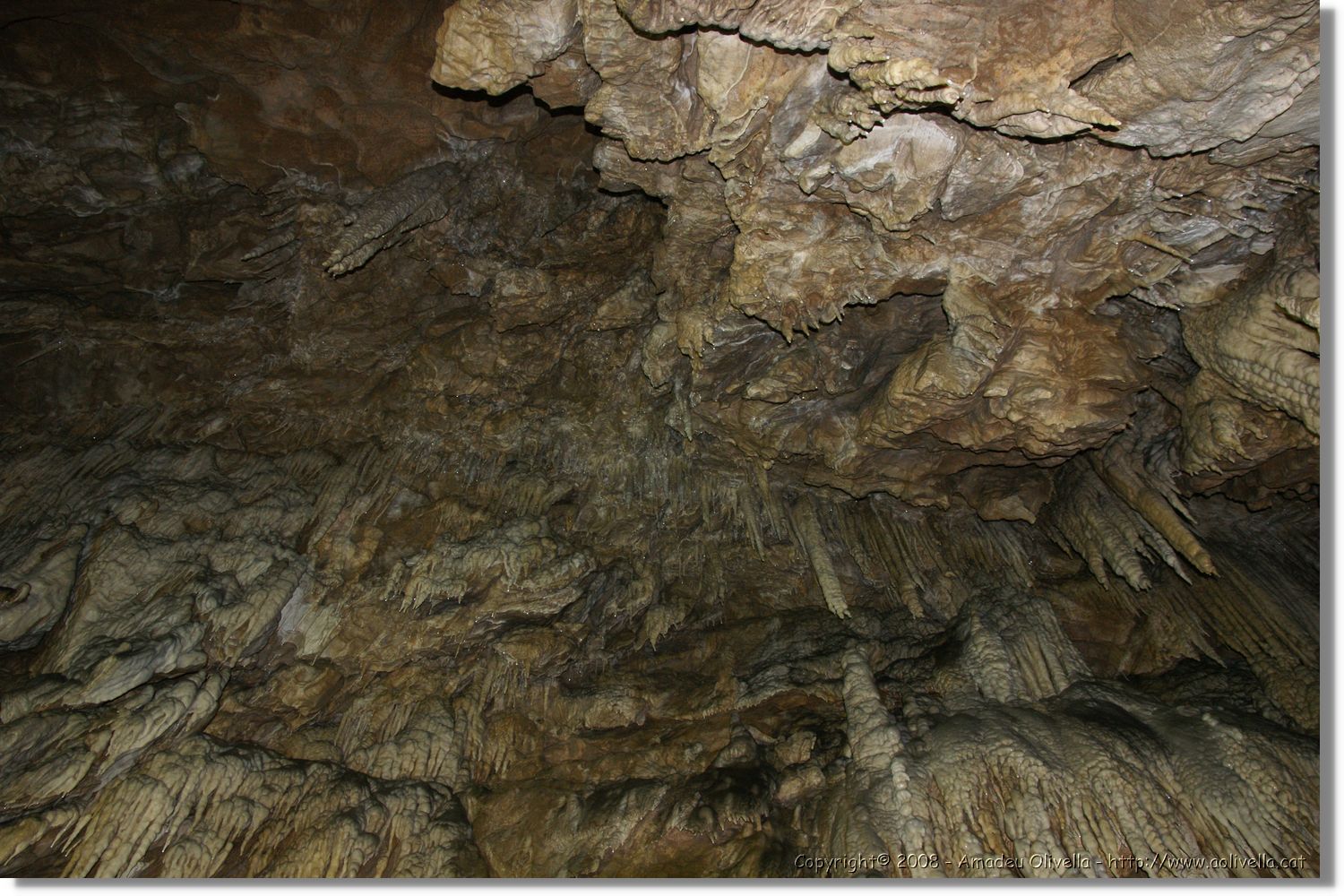 Bulgaria_1356.jpg