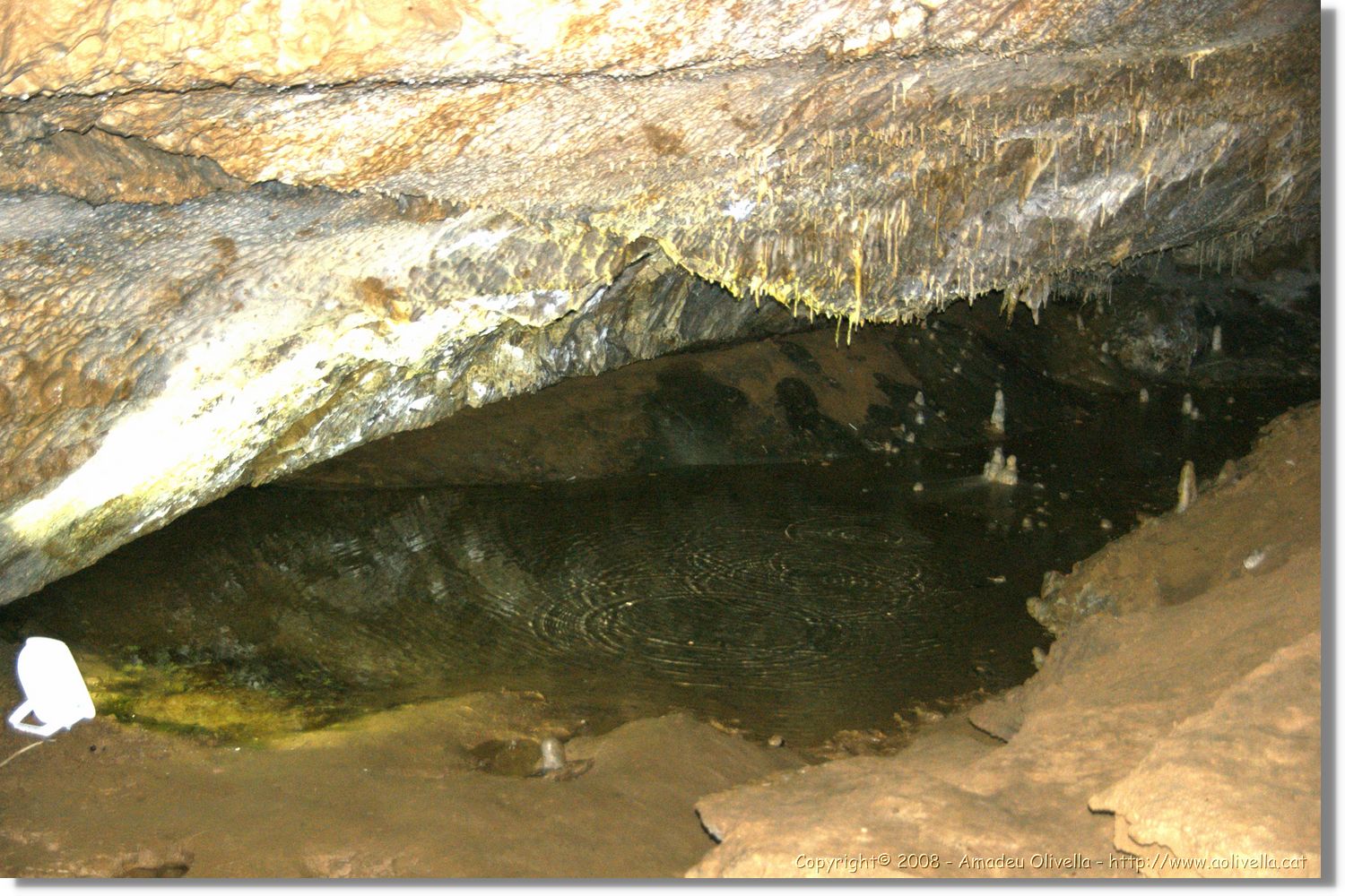 Bulgaria_1373.jpg
