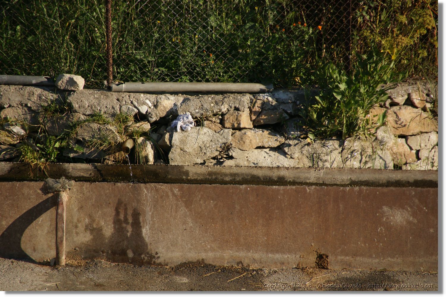 Bulgaria_1389.jpg
