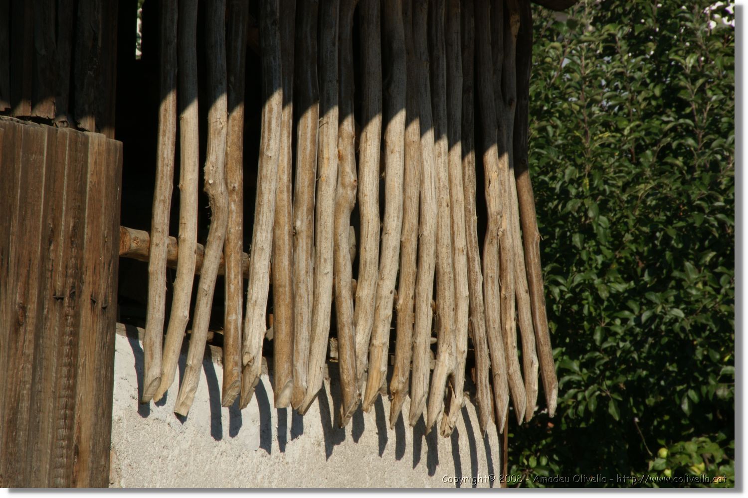 Bulgaria_1397.jpg