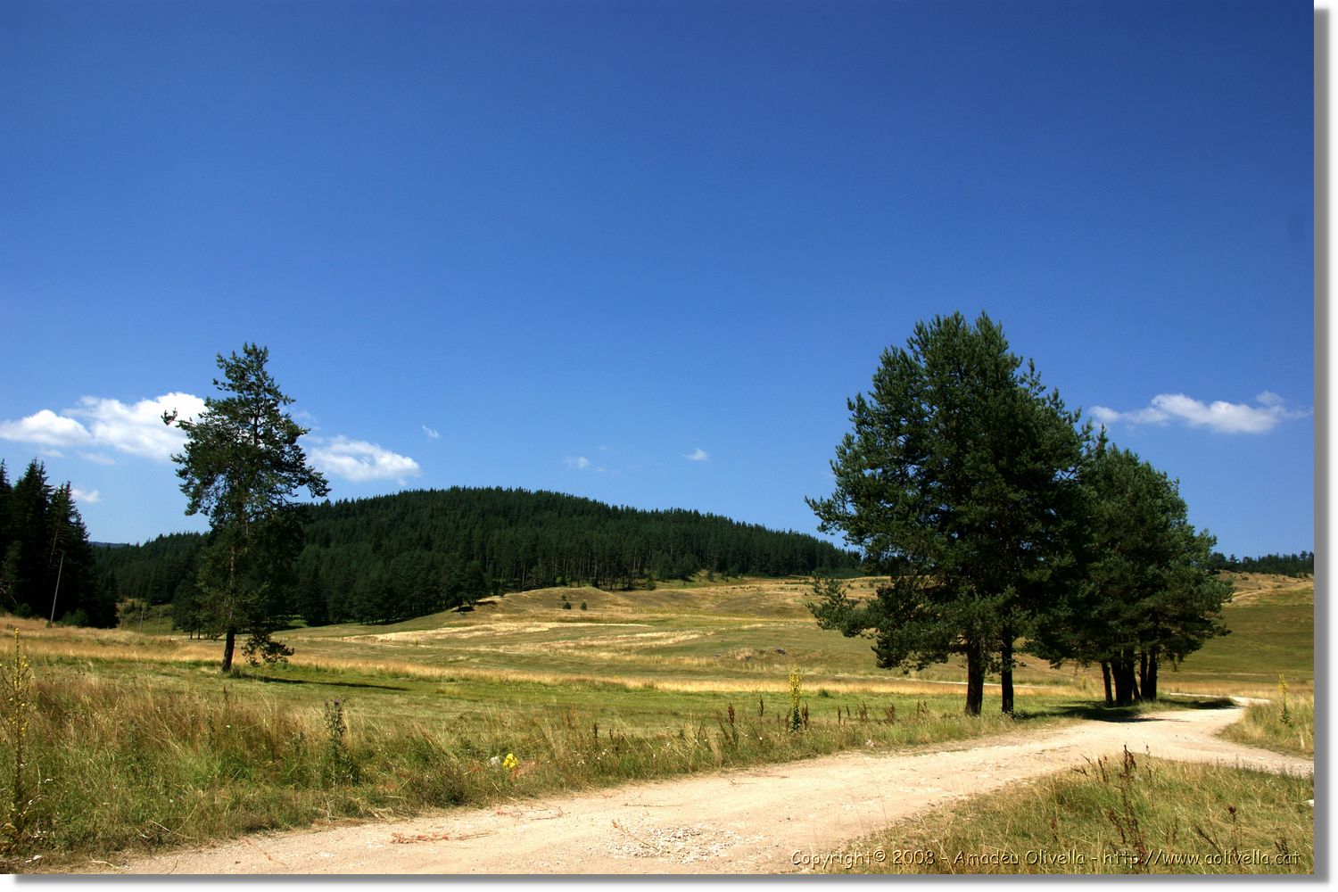 Bulgaria_1439.jpg