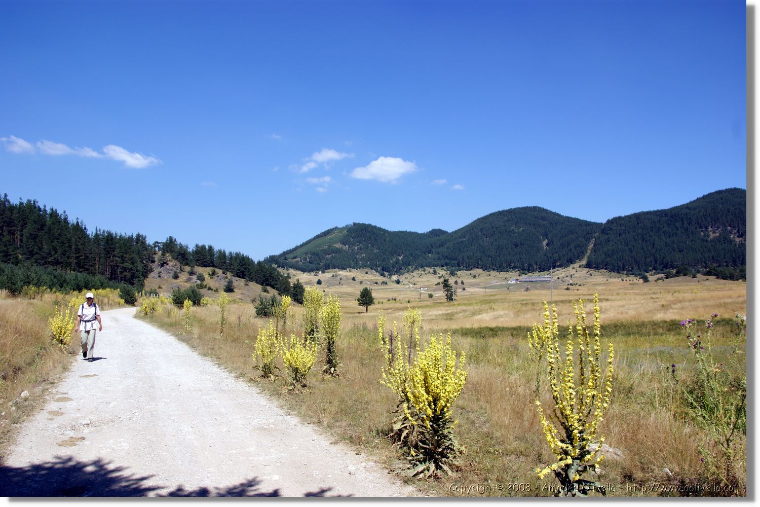 Bulgaria_1442.jpg