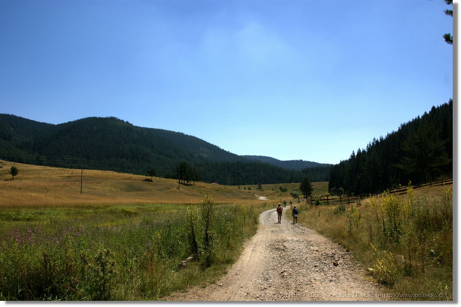 Bulgaria_1443.jpg