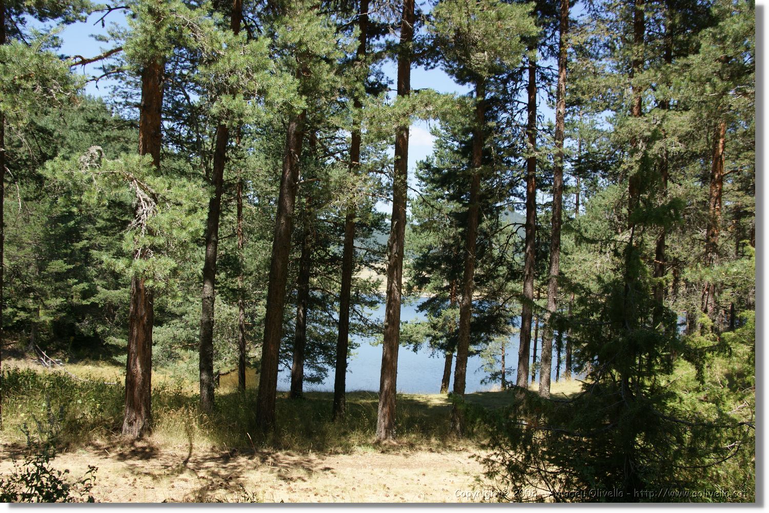 Bulgaria_1445.jpg