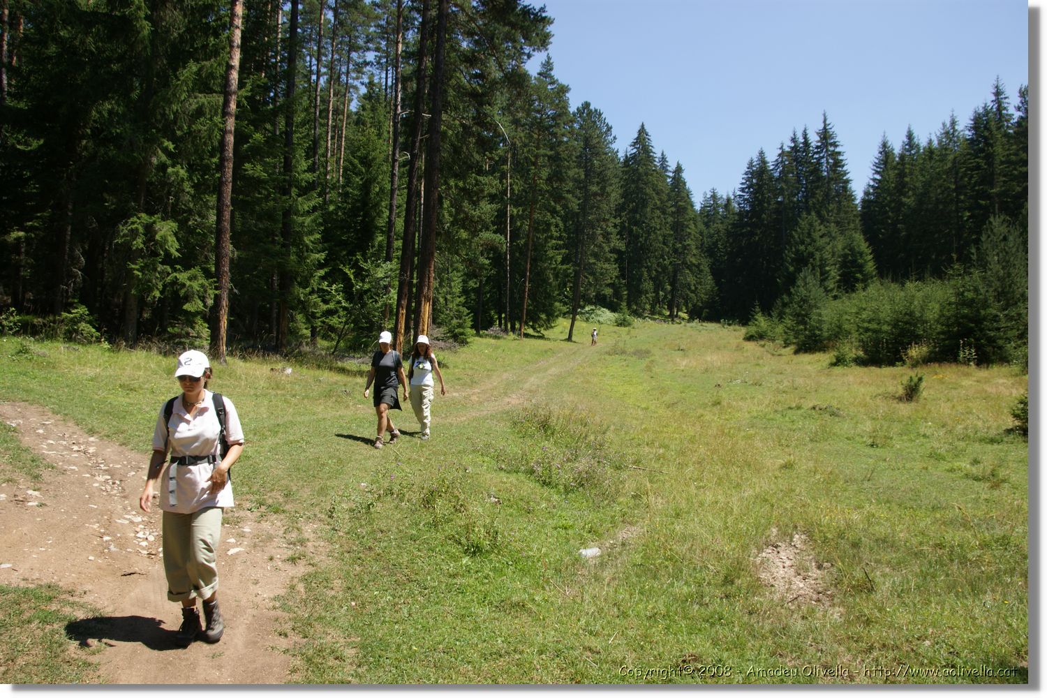 Bulgaria_1453.jpg