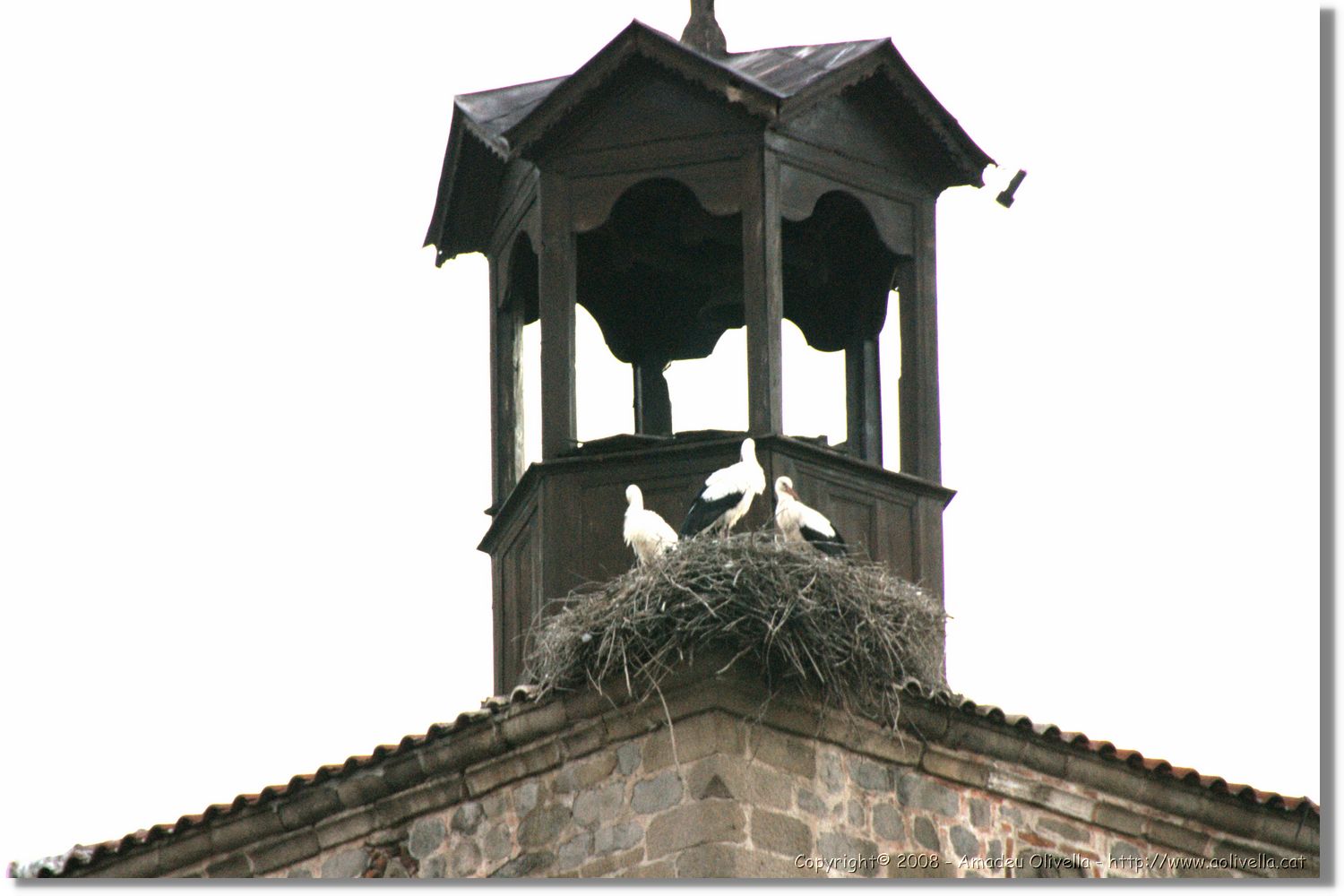 Bulgaria_1472.jpg