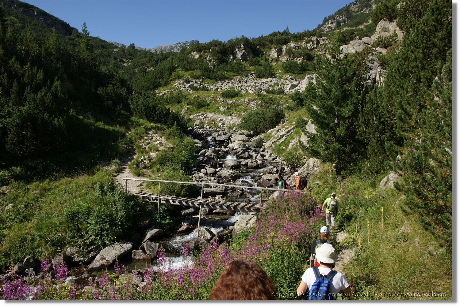 Bulgaria_1499.jpg