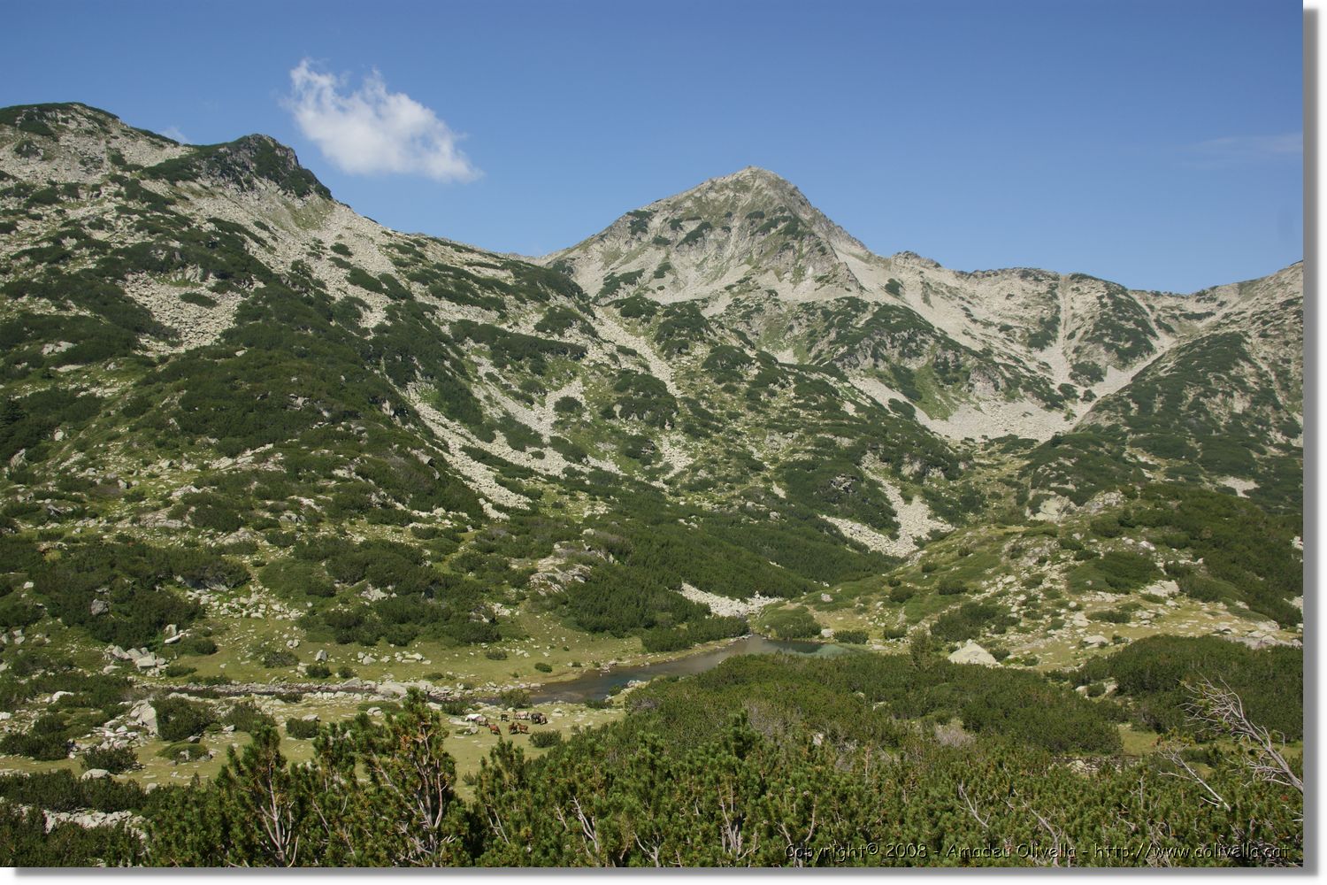 Bulgaria_1527.jpg