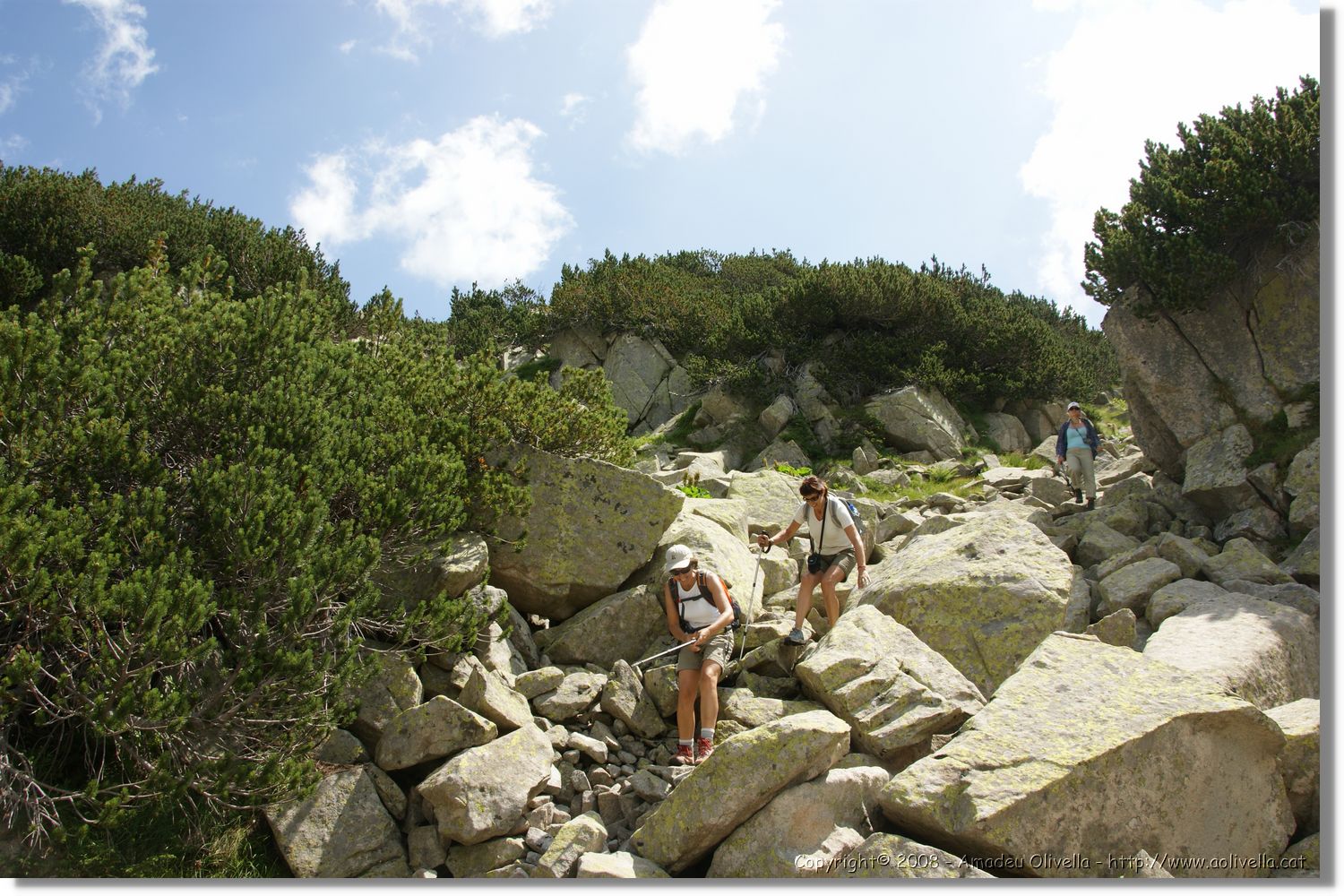 Bulgaria_1560.jpg