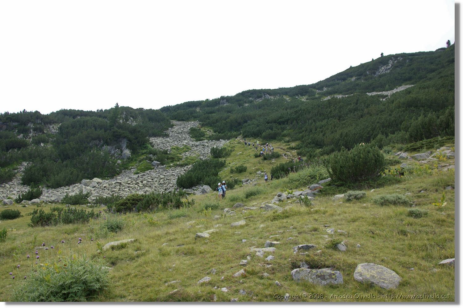 Bulgaria_1593.jpg