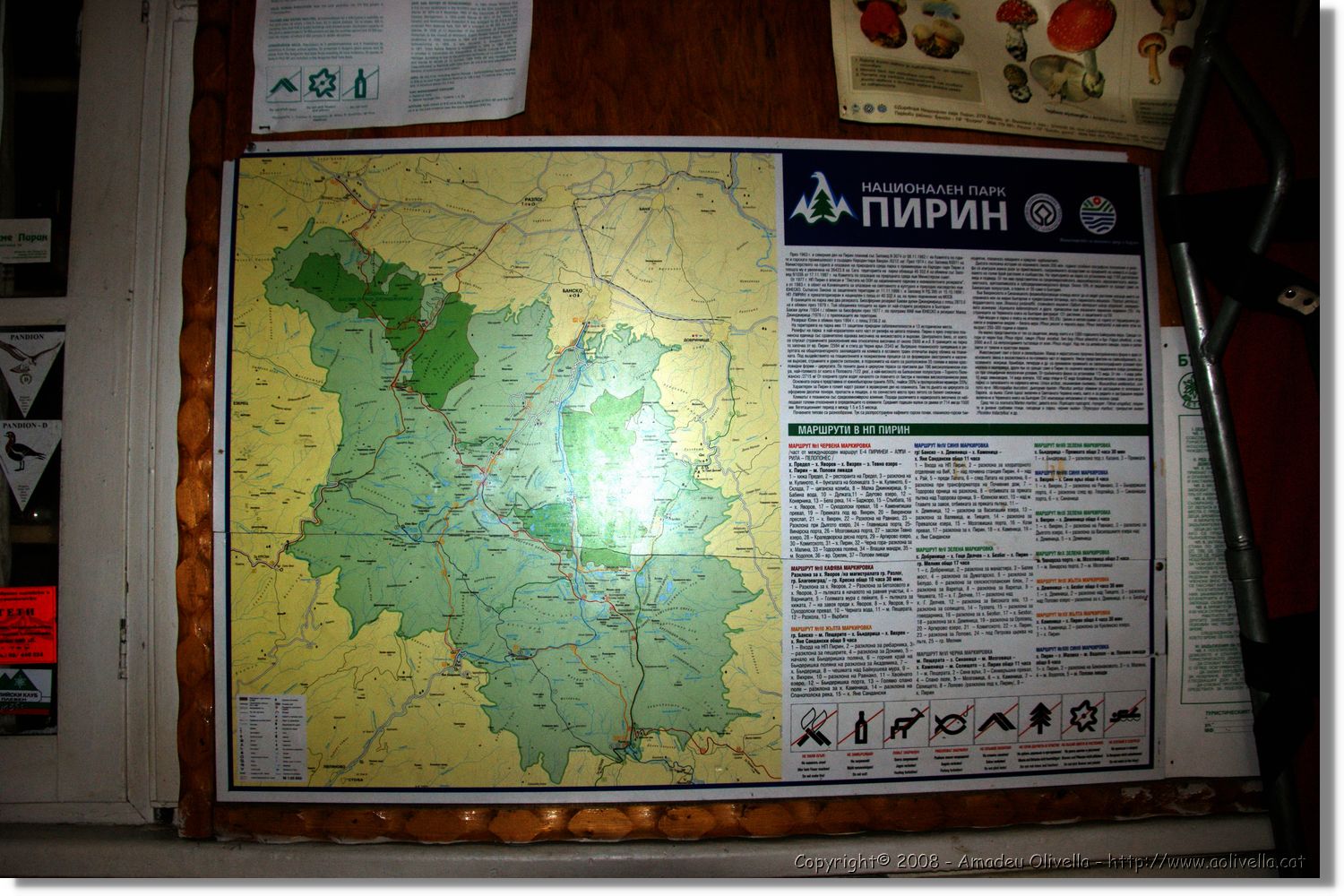 Bulgaria_1615.jpg