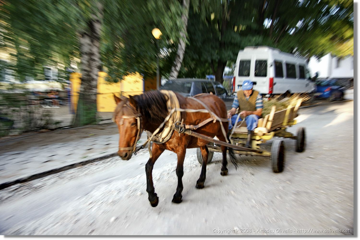 Bulgaria_1621.jpg