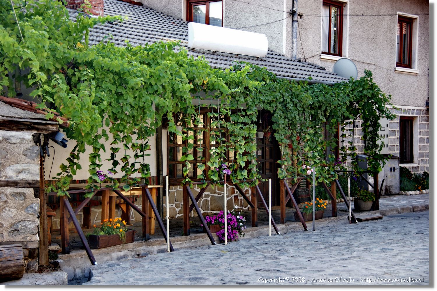 Bulgaria_1644.jpg
