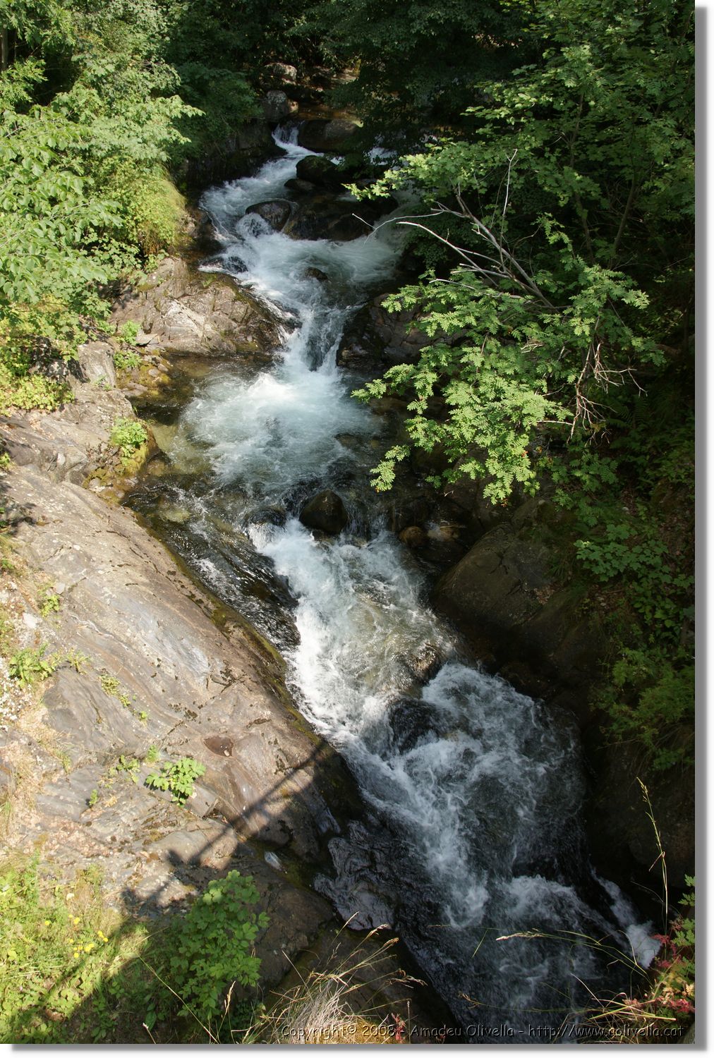 Bulgaria_1692.jpg