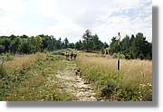 Bulgaria_0136.jpg