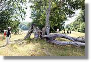 Bulgaria_0141.jpg