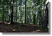 Bulgaria_0143.jpg